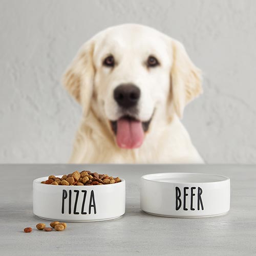 Pet Dishes